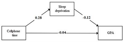 Use of Technology and Its Association With Academic Performance and Life Satisfaction Among Children and Adolescents